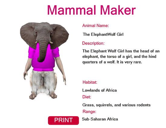 Mammal MAker Instructions