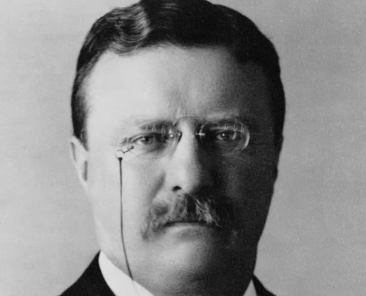 theodore roosevelt